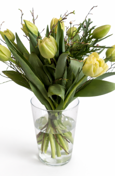 Bouquet de tulipes Suisses