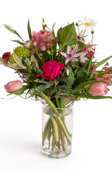 Bouquet du printemps